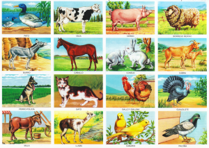 Monografia Animales Domesticos Utiles Para El